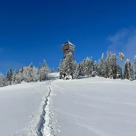Apartment Szczytowisko *