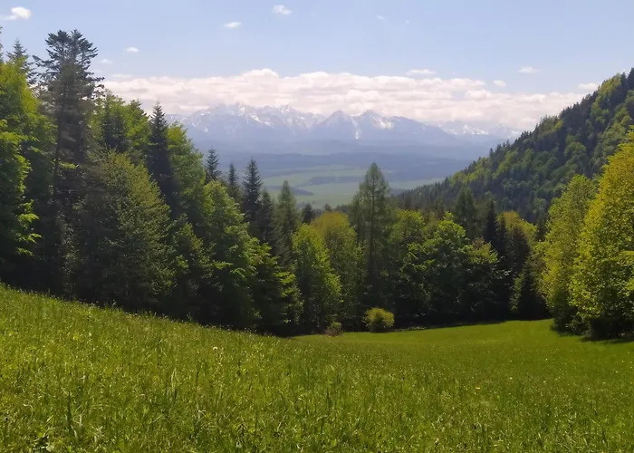 公寓 Szczytowisko *