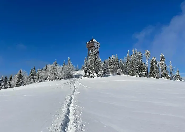 公寓 Szczytowisko *